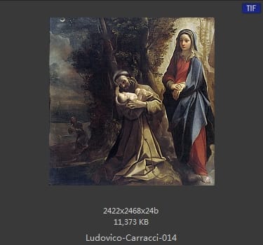 Ludovico Carracci