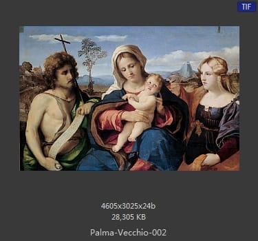Palma Vecchio