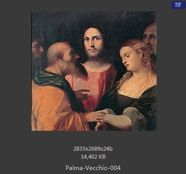 Palma Vecchio
