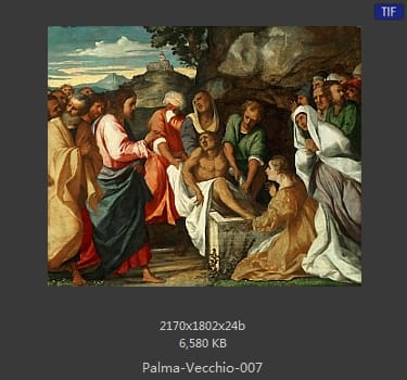 Palma Vecchio