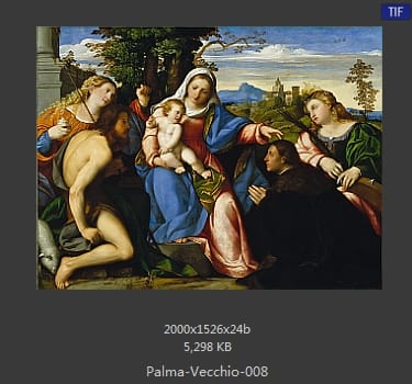 Palma Vecchio