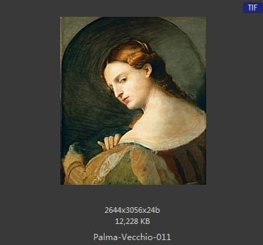 Palma Vecchio