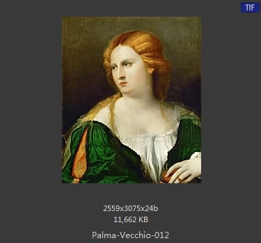 Palma Vecchio