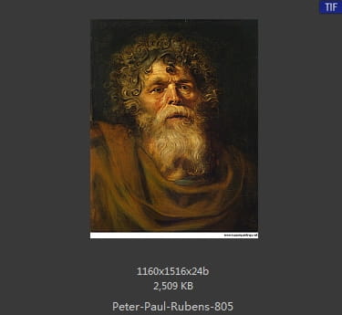 Peter Paul Rubens