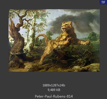 Peter Paul Rubens