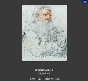 Peter Paul Rubens