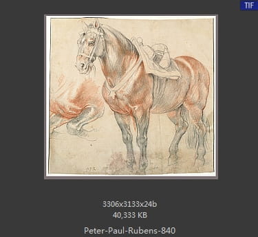 Peter Paul Rubens