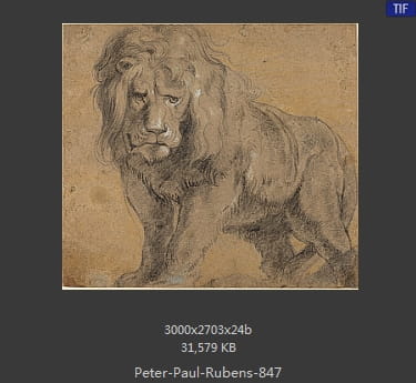 Peter Paul Rubens