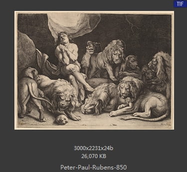 Peter Paul Rubens