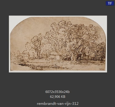 Rembrandt