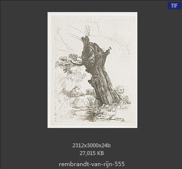 Rembrandt