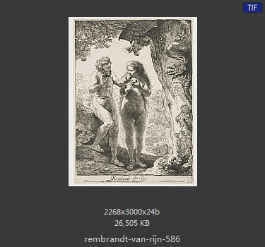 Rembrandt