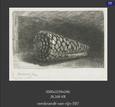 Rembrandt