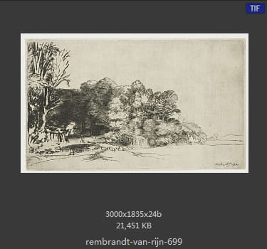 Rembrandt