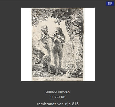Rembrandt