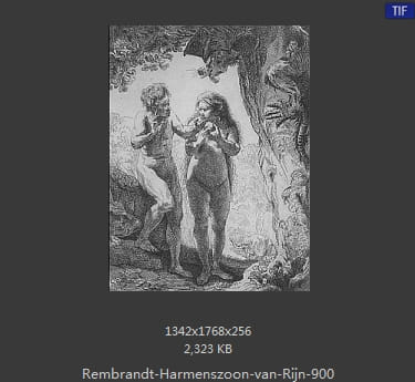 Rembrandt