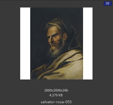 Salvator Rosa