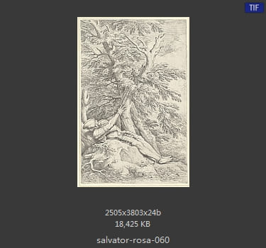 Salvator Rosa