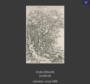 Salvator Rosa