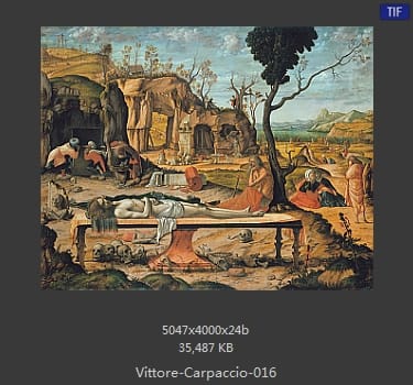 Vittore Carpaccio