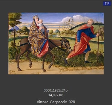 Vittore Carpaccio