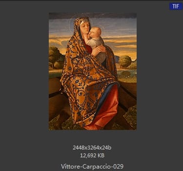 Vittore Carpaccio