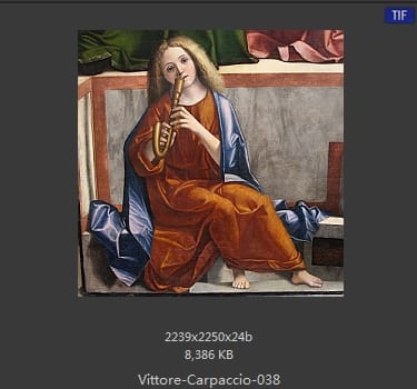 Vittore Carpaccio