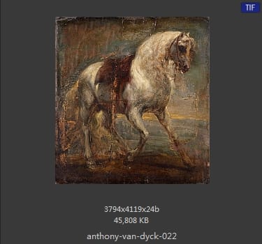 Anthony van Dyck