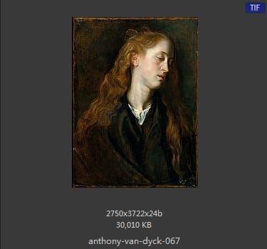 Anthony van Dyck