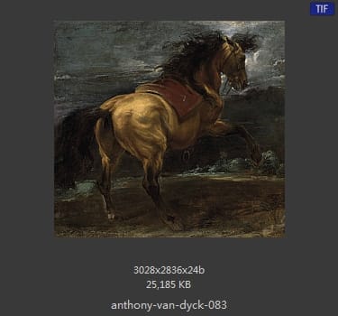 Anthony van Dyck