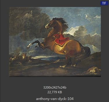 Anthony van Dyck