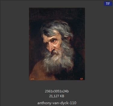 Anthony van Dyck