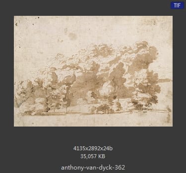 Anthony van Dyck