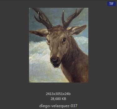 Diego Velazquez
