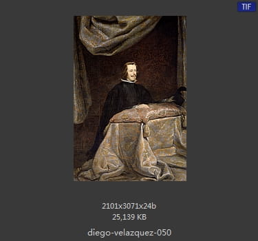 Diego Velazquez