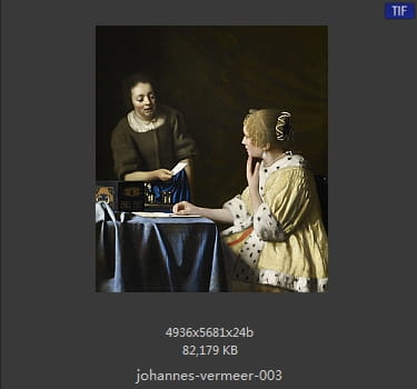 Johannes Vermeer
