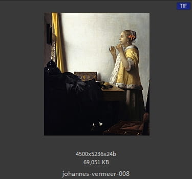 Johannes Vermeer
