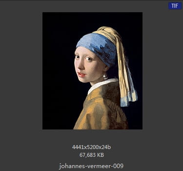 Johannes Vermeer