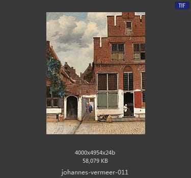Johannes Vermeer