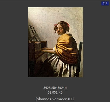 Johannes Vermeer
