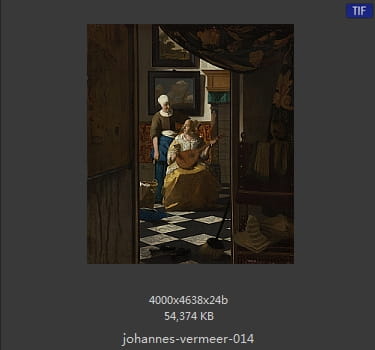 Johannes Vermeer