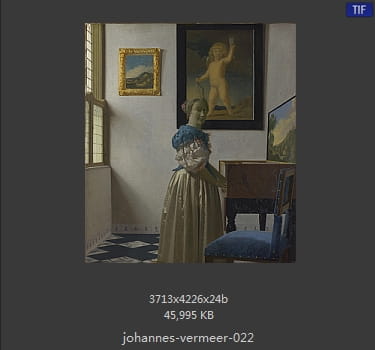 Johannes Vermeer