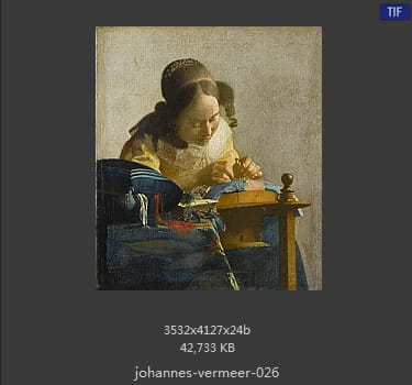 Johannes Vermeer