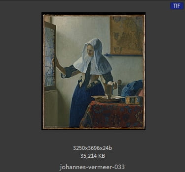 Johannes Vermeer