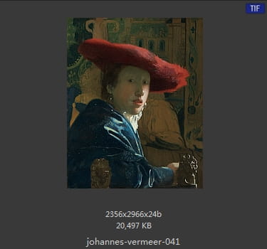 Johannes Vermeer