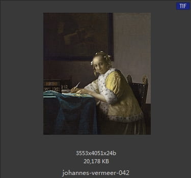 Johannes Vermeer