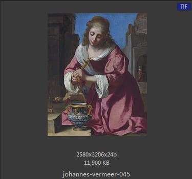 Johannes Vermeer
