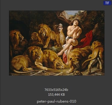 Peter Paul Rubens