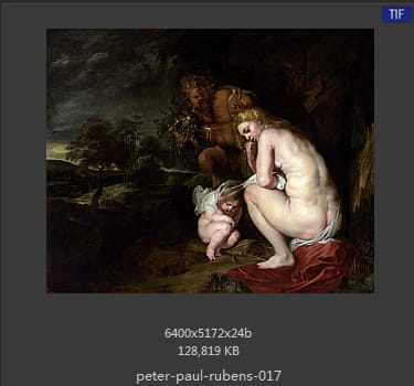 Peter Paul Rubens