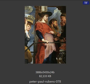 Peter Paul Rubens